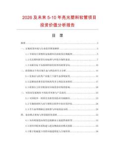 2026及未來5-10年亮光塑料軟管項目投資價值分析報告