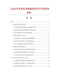 2026年多用发泡填缝剂项目可行性研究报告