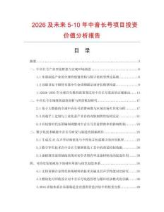 2026及未來(lái)5-10年中音長(zhǎng)號(hào)項(xiàng)目投資價(jià)值分析報(bào)告