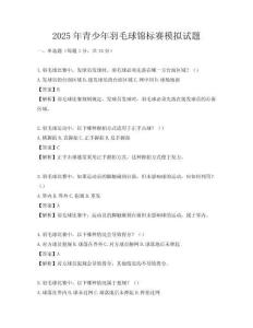 2025年青少年羽毛球錦標賽模擬試題