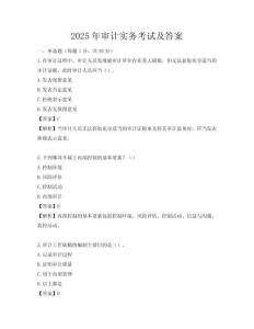 2025年審計實務考試及答案