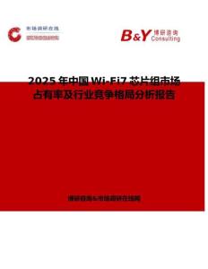 2025年中國Wi-Fi7芯片組市場占有率及行業競爭格局分析報告