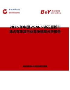 2025年中國ZSM-5沸石原粉市場占有率及行業競爭格局分析報告