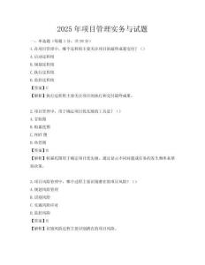 2025年項目管理實務(wù)與試題