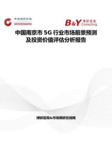 中国南京市5G行业市场前景预测及投资价值评估分析报告