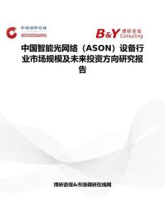 中國智能光網(wǎng)絡(luò)（ASON）設(shè)備行業(yè)市場規(guī)模及未來投資方向研究報告