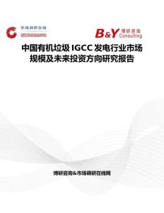 中国有机垃圾IGCC发电行业市场规模及未来投资方向研究报告