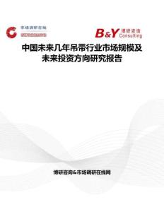 中國未來幾年吊帶行業市場規模及未來投資方向研究報告