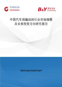 中國汽車泄漏油封行業市場規模及未來投資方向研究報告