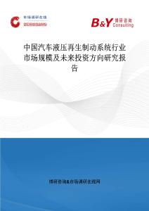 中國汽車液壓再生制動系統行業市場規模及未來投資方向研究報告