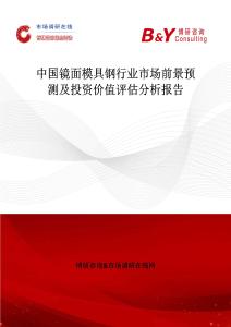 中國鏡面模具鋼行業市場前景預測及投資價值評估分析報告