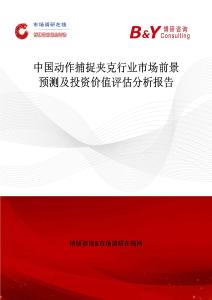 中國動作捕捉夾克行業市場前景預測及投資價值評估分析報告