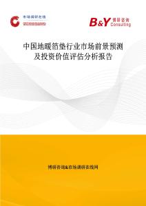 中國地暖箔墊行業市場前景預測及投資價值評估分析報告