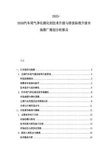 2025-2030汽车尾气净化催化剂技术升级与排放标准升级市场推广规划分析报告