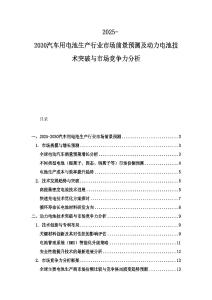 2025-2030汽车用电池生产行业市场前景预测及动力电池技术突破与市场竞争力分析