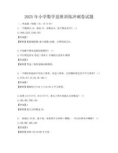 2025年小學數學思維訓練沖刺卷試題