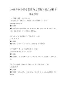 2025年初中數學代數與方程復習要點解析考試及答案
