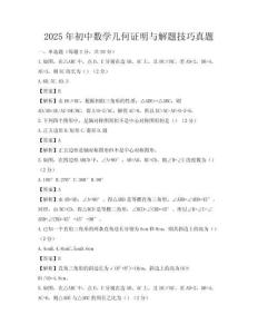 2025年初中數學幾何證明與解題技巧真題