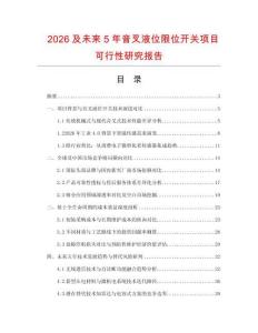 2026及未來5年音叉液位限位開關項目可行性研究報告