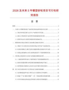 2026及未來5年碟型砂輪項目可行性研究報告