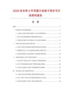 2026及未來(lái)5年雙畫(huà)王電視卡項(xiàng)目可行性研究報(bào)告