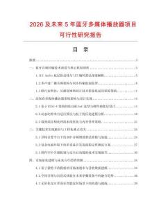 2026及未来5年蓝牙多媒体播放器项目可行性研究报告