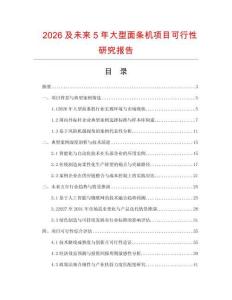 2026及未來5年大型面條機項目可行性研究報告