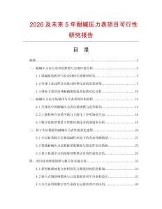 2026及未來5年耐堿壓力表項目可行性研究報告