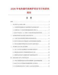 2026年電熱循環(huán)烘烤爐項(xiàng)目可行性研究報(bào)告