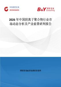 2026年中國陰離子聚合物行業市場動態分析及產業前景研判報告