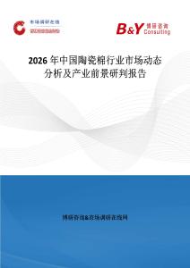 2026年中國陶瓷棉行業(yè)市場動態(tài)分析及產業(yè)前景研判報告