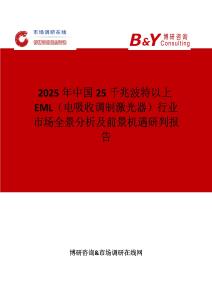 2025年中國25千兆波特以上EML（電吸收調制激光器）行業市場全景分析及前景機遇研判報告