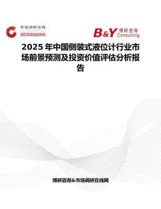 2025年中國側裝式液位計行業市場前景預測及投資價值評估分析報告