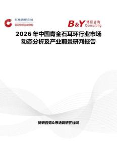 2026年中國青金石耳環行業市場動態分析及產業前景研判報告