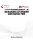 2025年中國便攜式射頻點陣二氧化碳激光發(fā)生器行業(yè)市場前景預(yù)測及投資價值評估分析報告