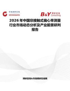 2026年中國非接觸式偏心率測量行業市場動態分析及產業前景研判報告