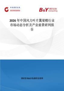 2026年中国风力叶片翼梁帽行业市场动态分析及产业前景研判报告