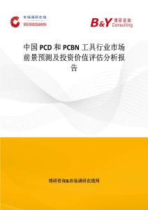 中國PCD和PCBN工具行業(yè)市場前景預(yù)測及投資價值評估分析報告