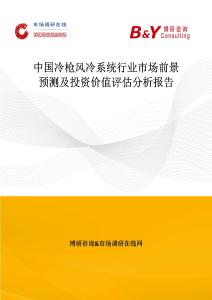 中國冷槍風冷系統行業市場前景預測及投資價值評估分析報告