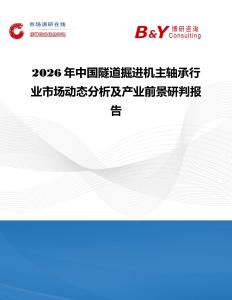 2026年中國隧道掘進機主軸承行業市場動態分析及產業前景研判報告