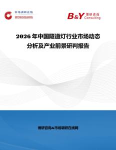 2026年中國隧道燈行業市場動態分析及產業前景研判報告