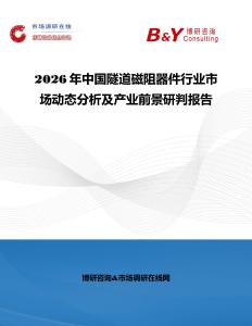 2026年中國隧道磁阻器件行業市場動態分析及產業前景研判報告