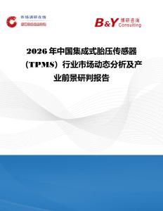 2026年中國集成式胎壓傳感器（TPMS）行業市場動態分析及產業前景研判報告
