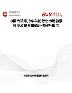 中国改装摩托车车轮行业市场前景预测及投资价值评估分析报告