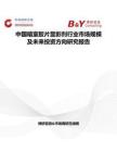 中国暗室胶片显影剂行业市场规模及未来投资方向研究报告