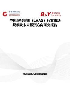 中國服務照明（LAAS）行業市場規模及未來投資方向研究報告
