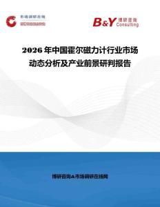 2026年中国霍尔磁力计行业市场动态分析及产业前景研判报告
