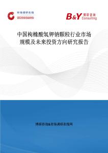 中國(guó)枸櫞酸氫鉀鈉顆粒行業(yè)市場(chǎng)規(guī)模及未來投資方向研究報(bào)告