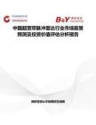 中國超寬帶脈沖雷達行業市場前景預測及投資價值評估分析報告