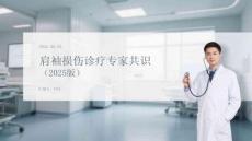肩袖損傷診療專家共識（2025版）